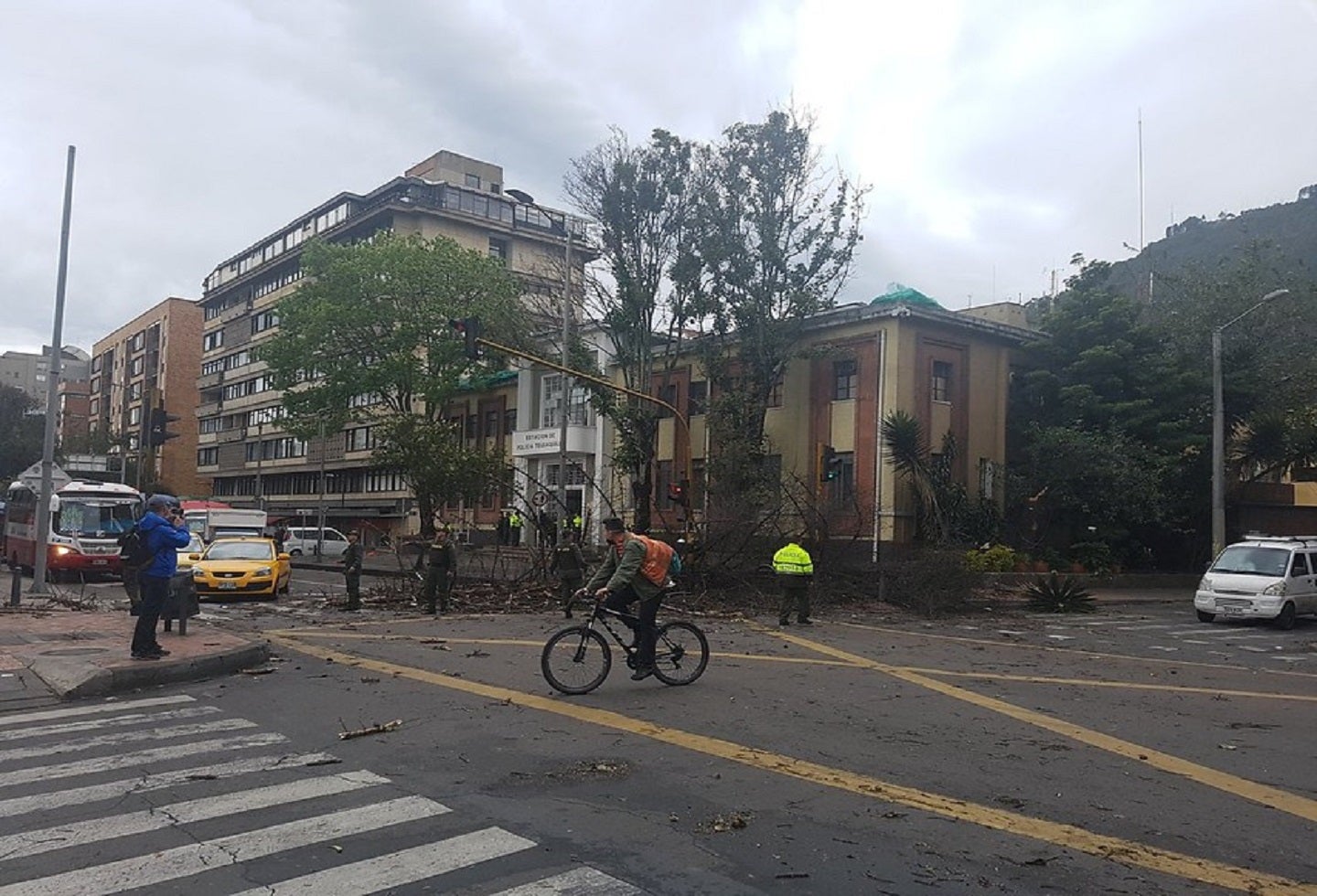 Árboles cayeron en la localidad de Chapinero debido a los fuertes vientos