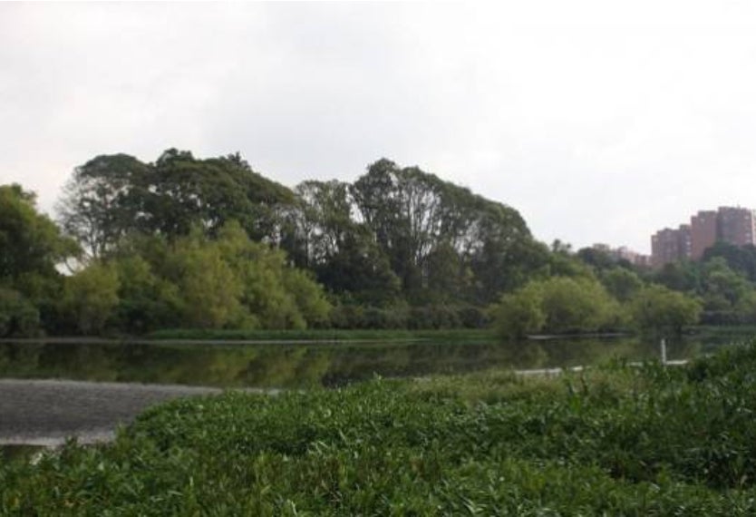 Denuncian no ejecución de recursos