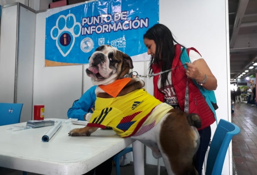 Jornada de vacunación de máscotas