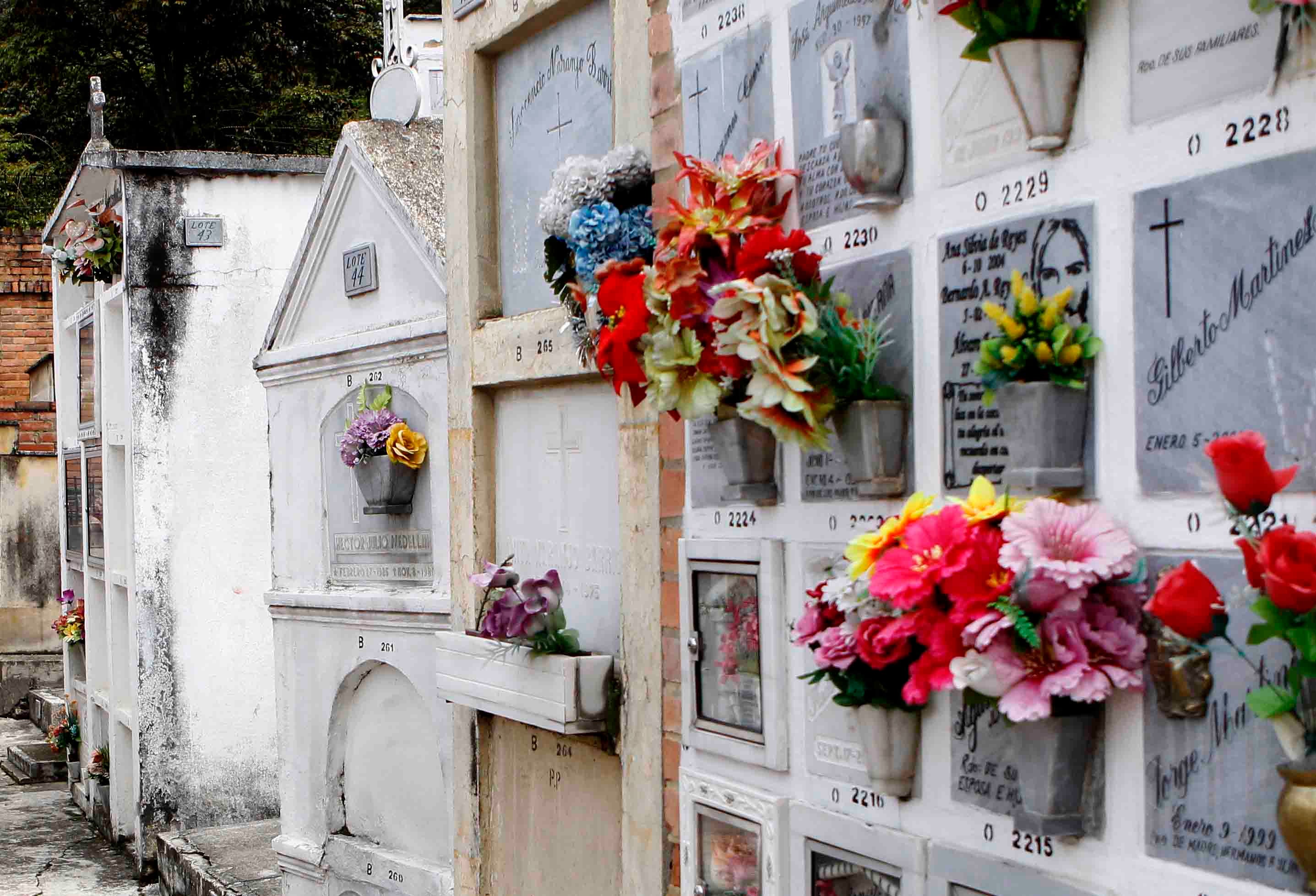 Madre abortó a criaturita de seis meses y lo abandonó en un cementerio