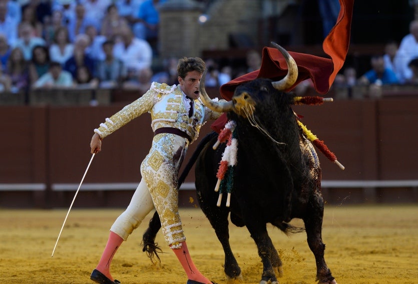 Al menos el 40% del espacio de la publicidad del evento deberá ser destinado a informar del sufrimiento animal.
