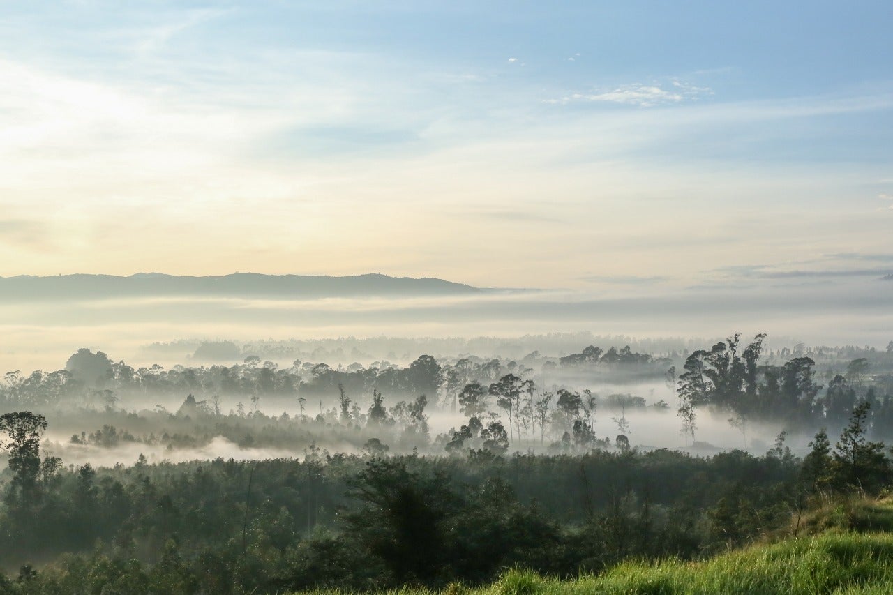 Heladas en Cundinamarca