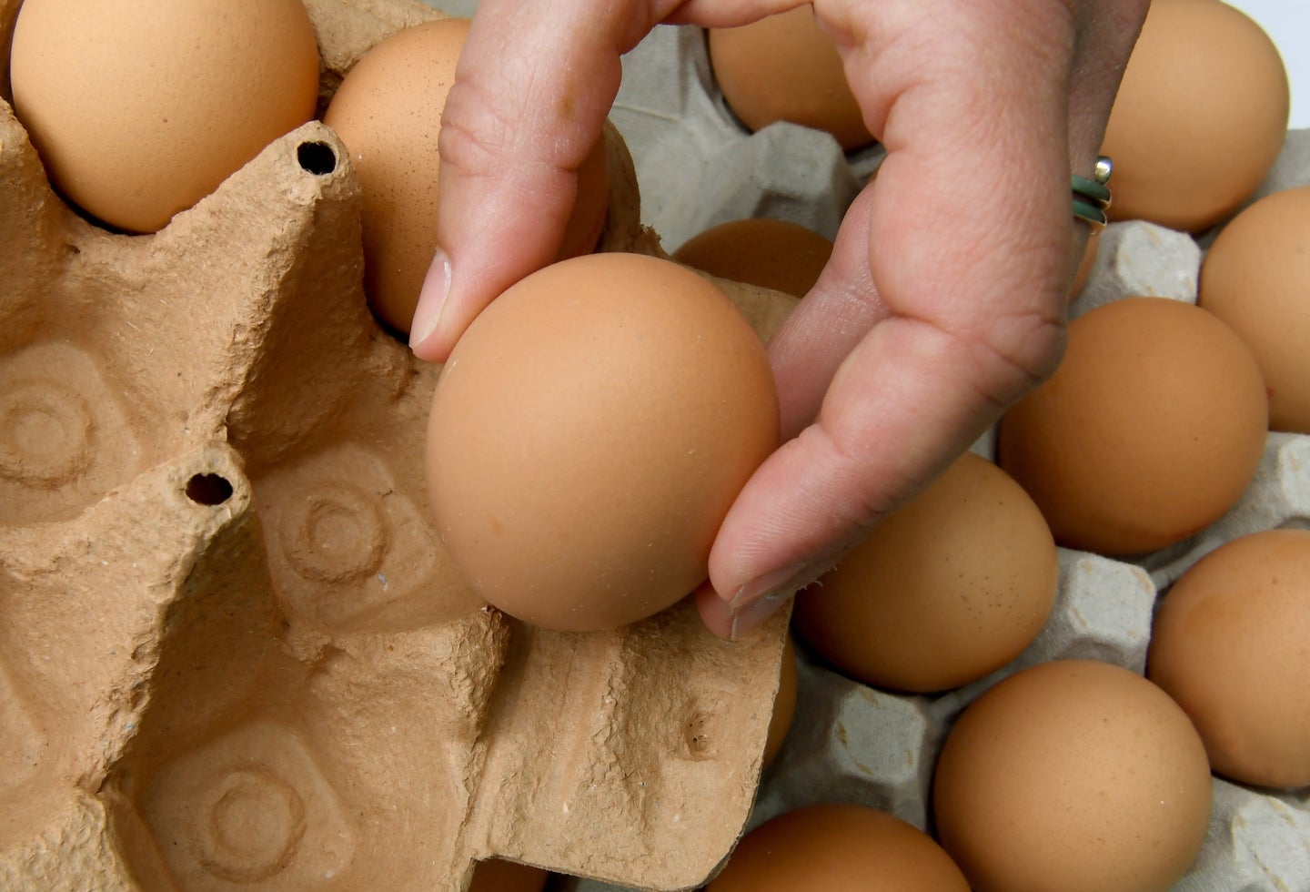 Mujer contando los huevos de una cubeta