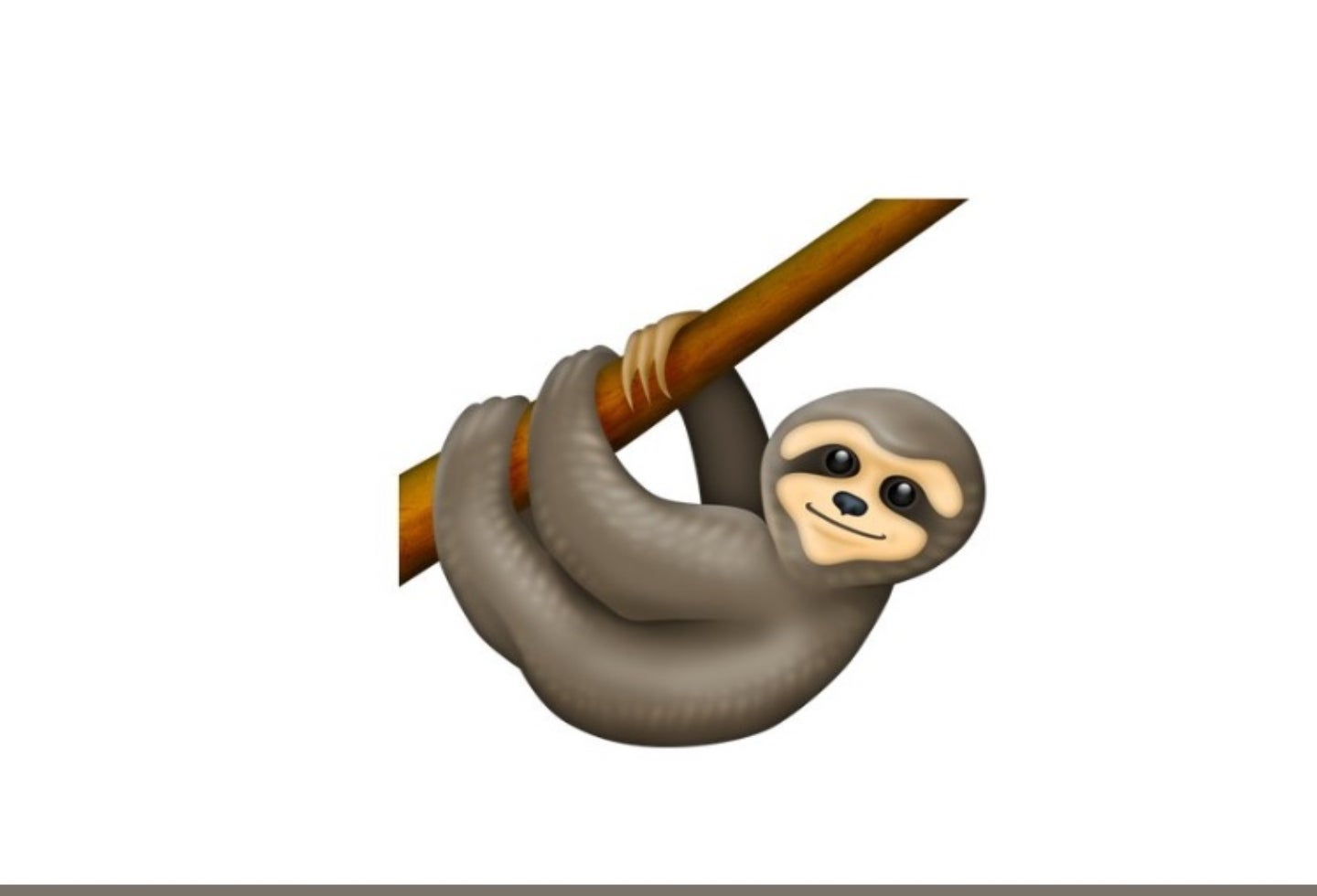 El oso perezoso, parte fundamental del medio ambiente, es parte de la actualización de 2019.