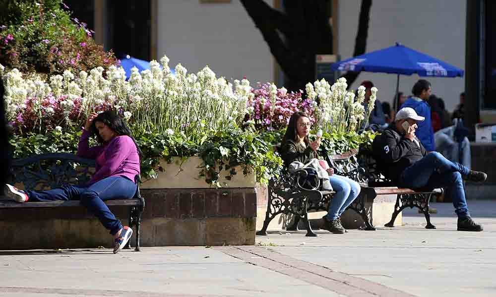 DESEMPLEO DESOCUPADOS