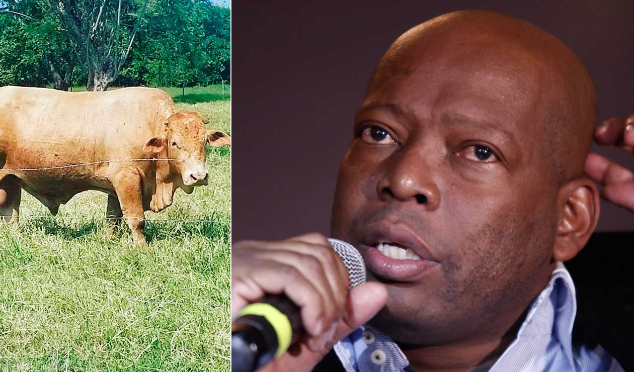 Faustino Asprilla y la denuncia que hizo a través de Twitter por el robo de su ganado