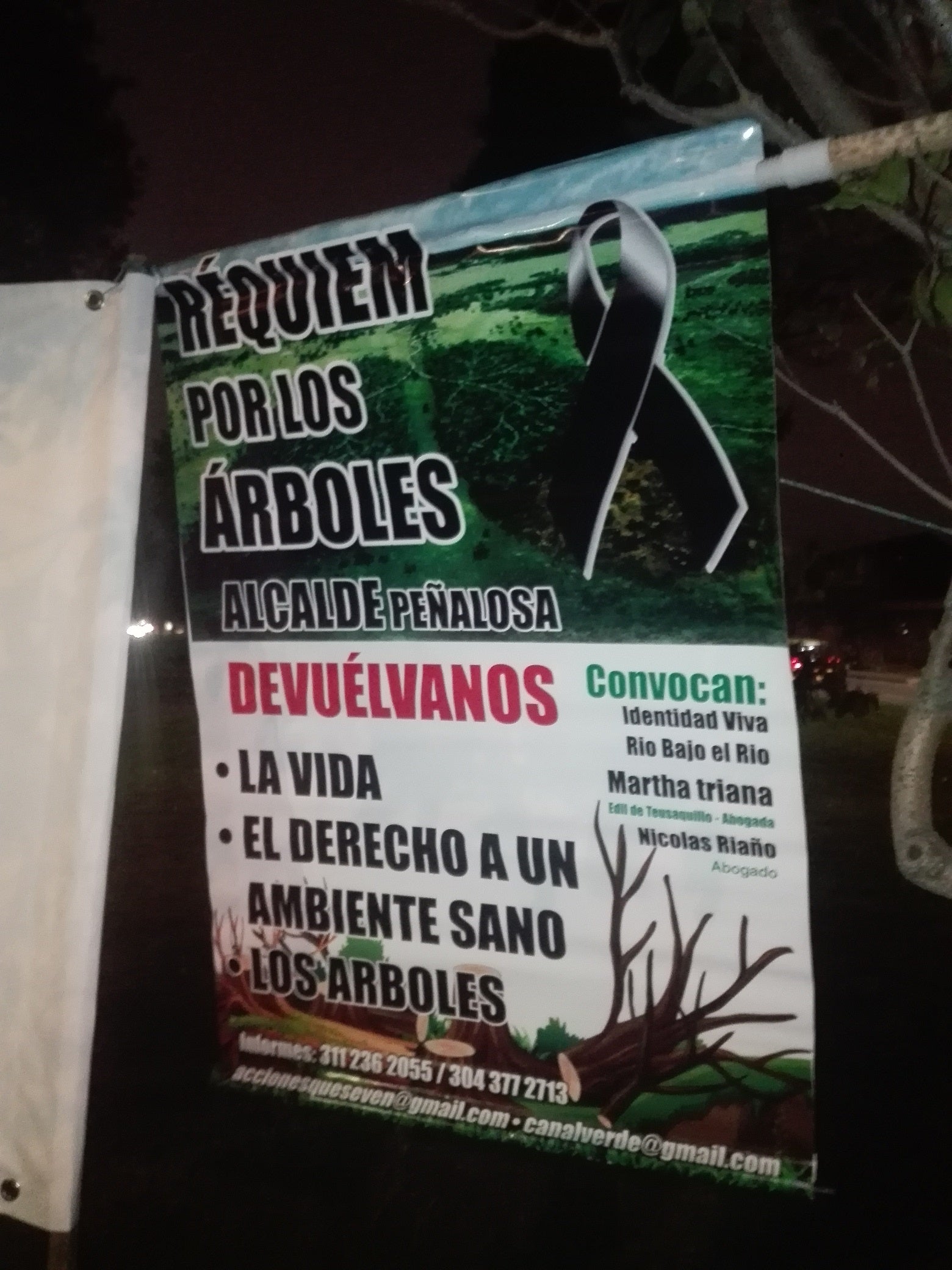 Velatón contra la tala de árboles en Bogotá - RCN Radio