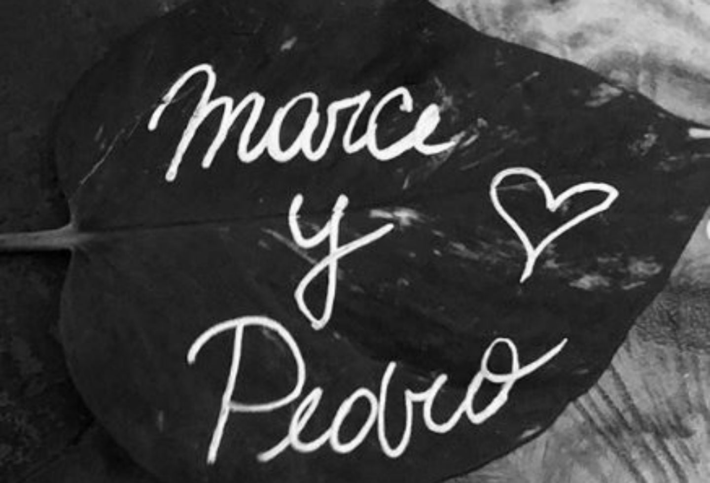 Matrimonio de Marcela Mar