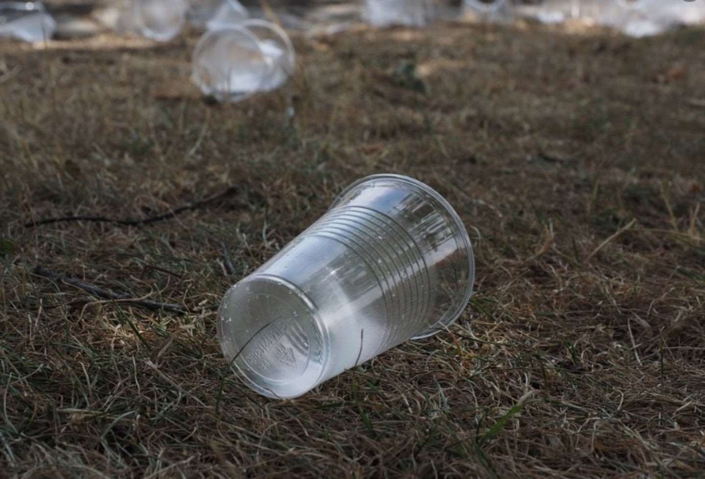 Referencial plásticos de un solo uso.