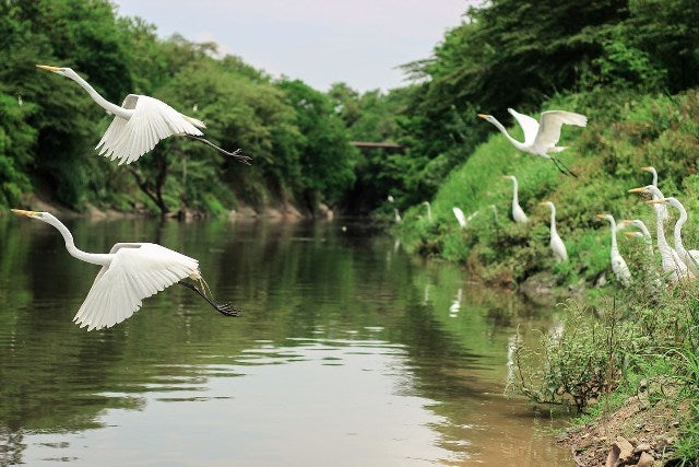 Lugar donde el río Bogotá se funde con el Magdalena.
