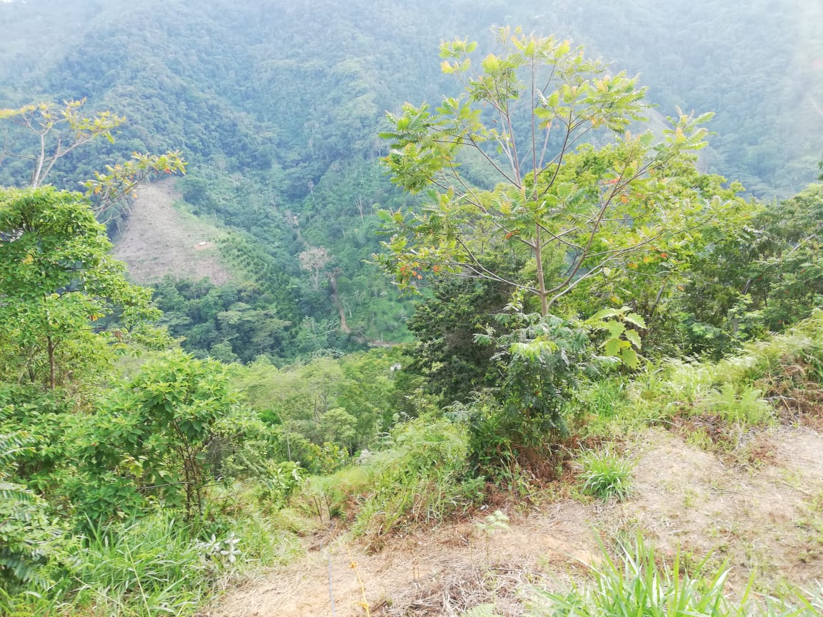 Mujer Muerta de al parecer un disparo en la cabeza