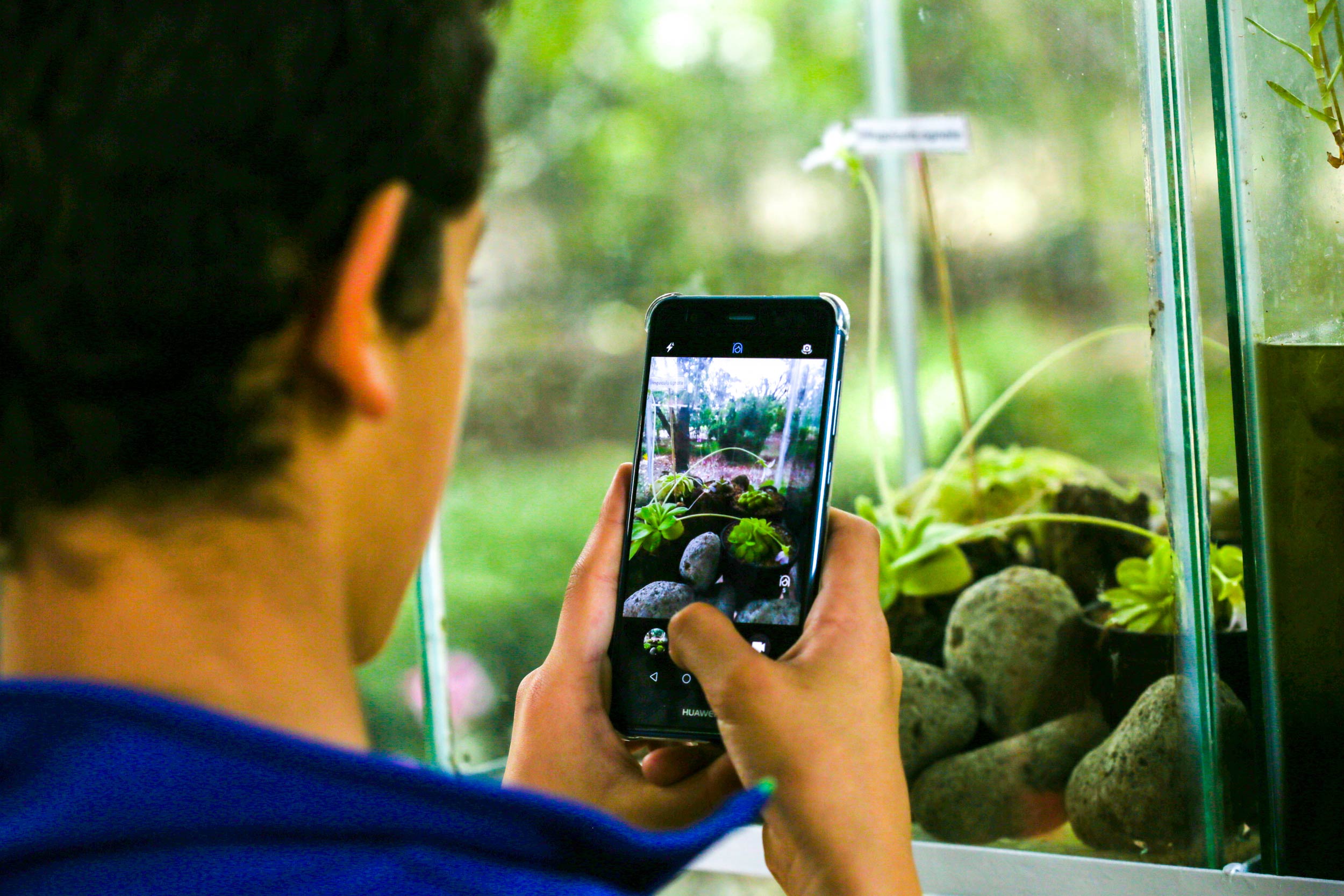 Visitantes en el Jardín Botánico de Bogotá