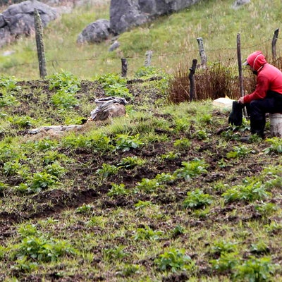 Campesino se ganó chance millonario de 1.582 millones de pesos