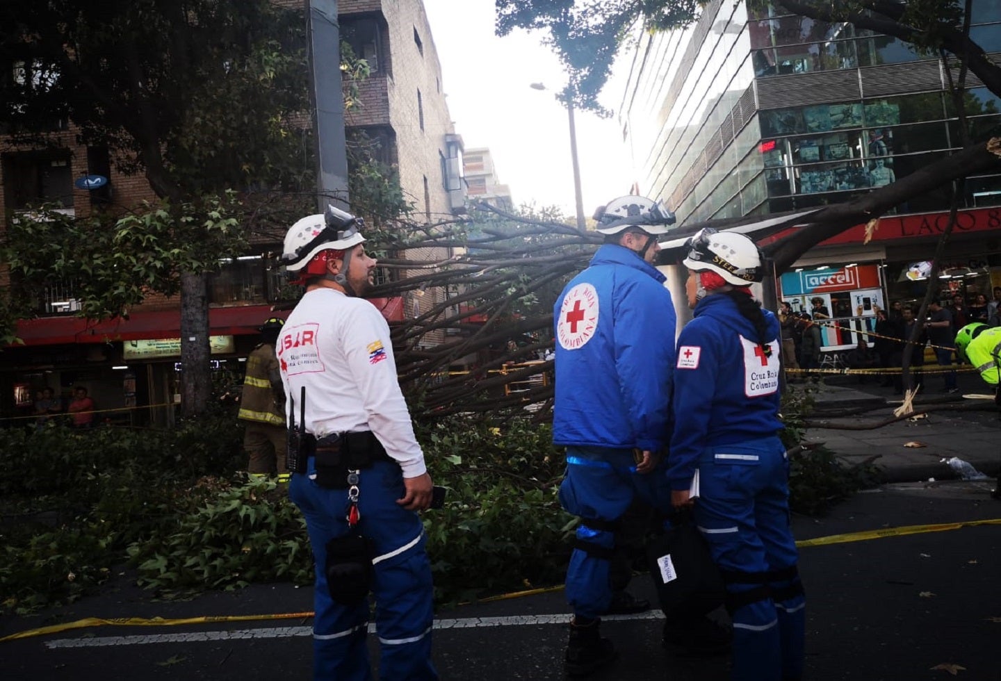 Caída de árbol en Chapinero