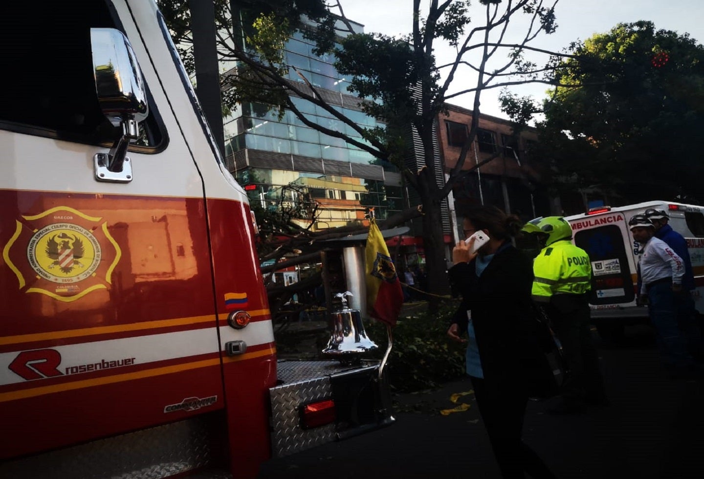 Caída de árbol en Chapinero