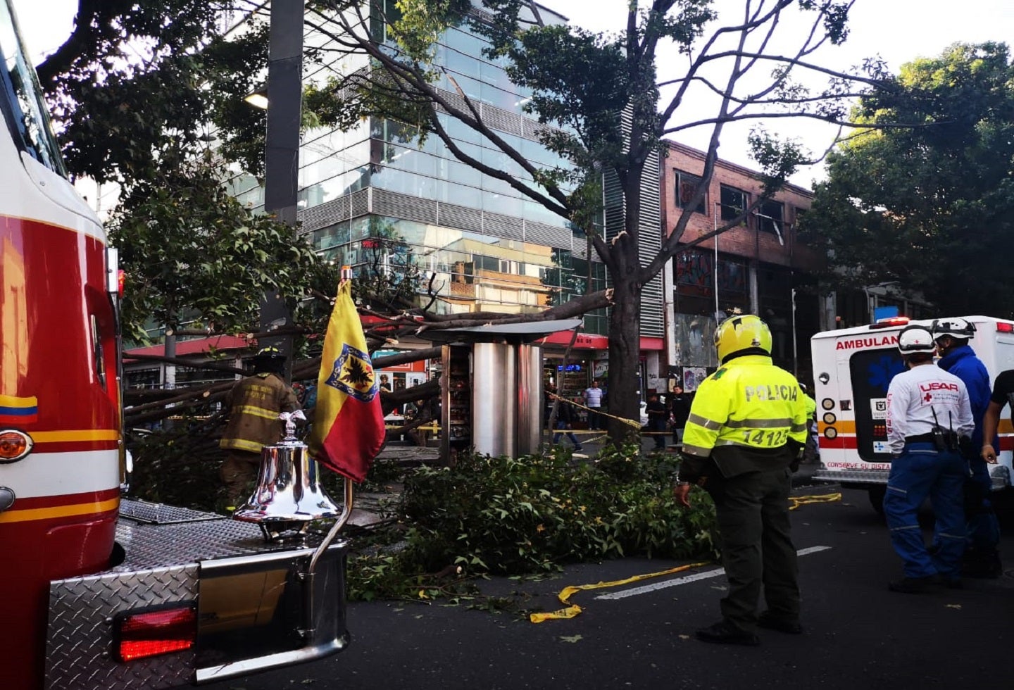 Caída de árbol en Chapinero