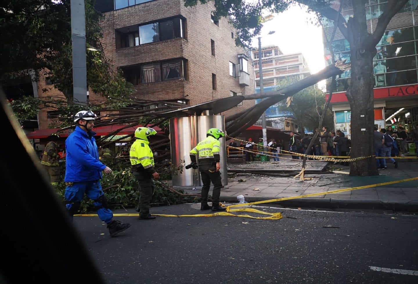 Caída de árbol en Chapinero