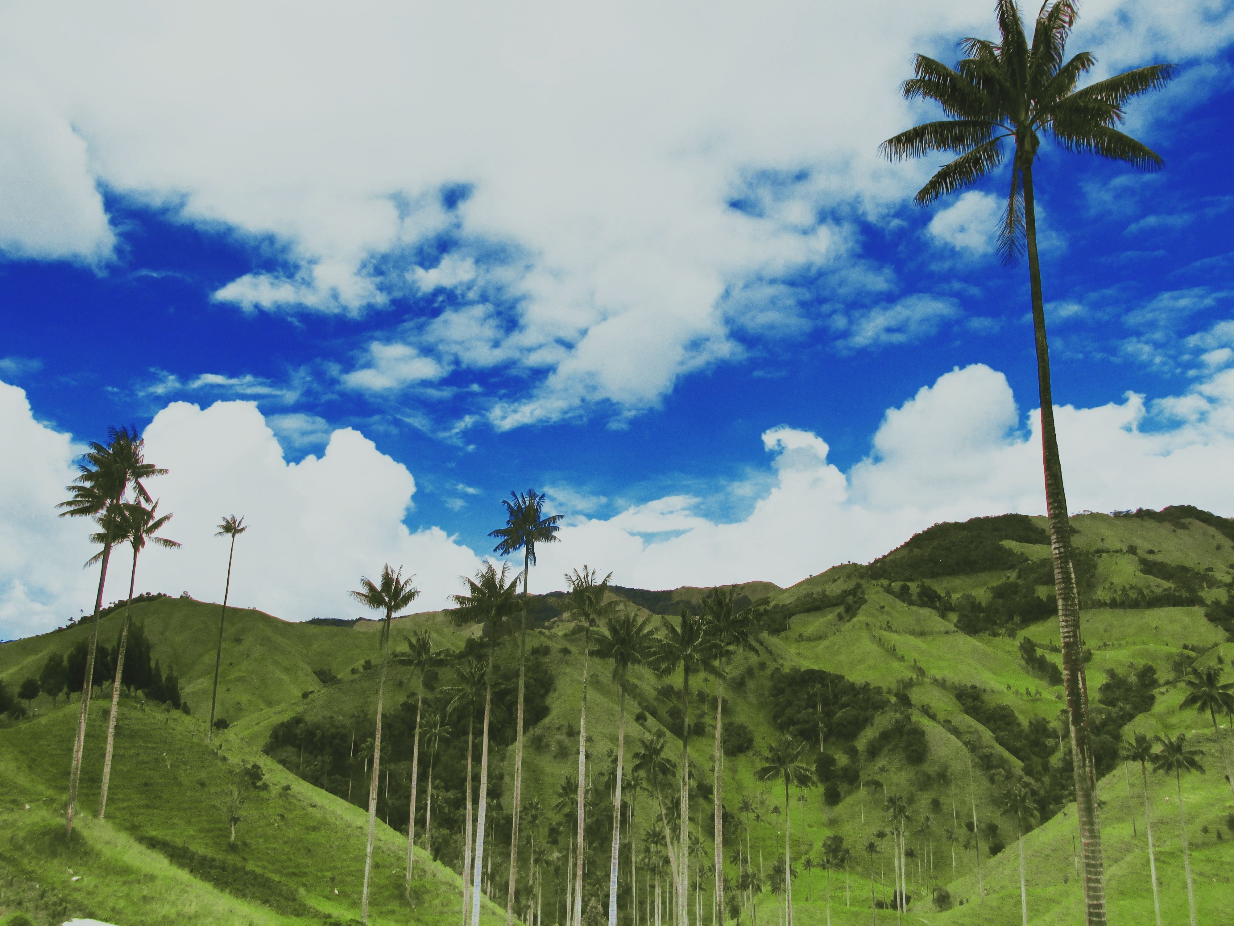 Valle de la Samaria, ubicado en Salamina (Caldas)