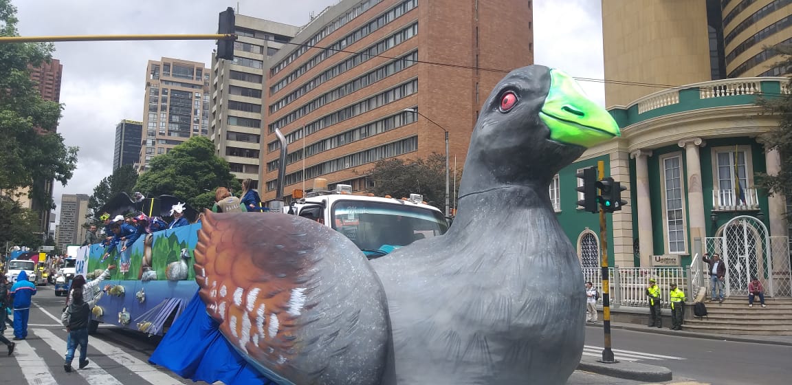 La Paloma de la solidaridad