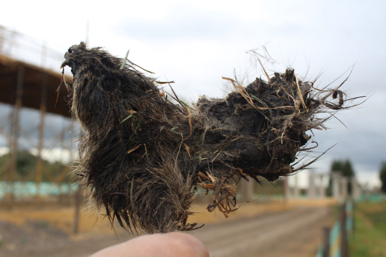 Obras Humedal Jaboque
