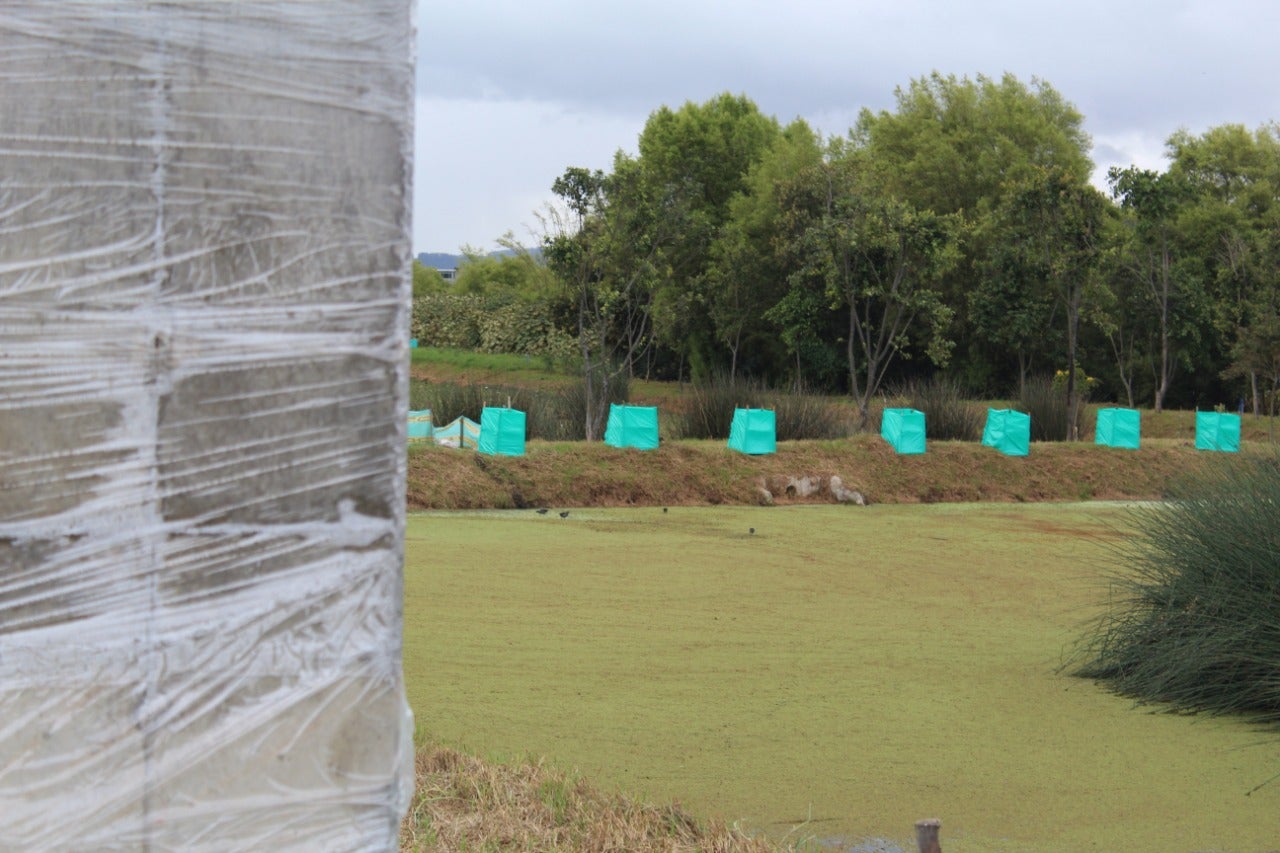 Obras Humedal Jaboque