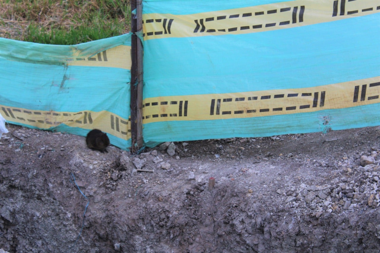 Obras Humedal Jaboque