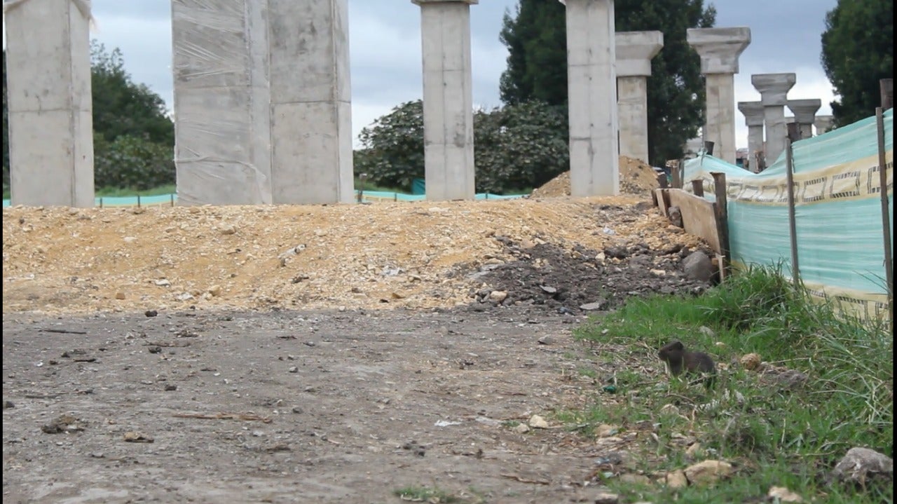 Obras Humedal Jaboque