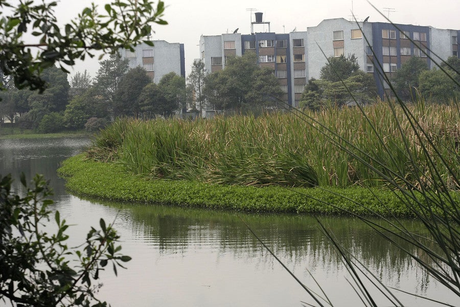 Humedal Juan Amarillo