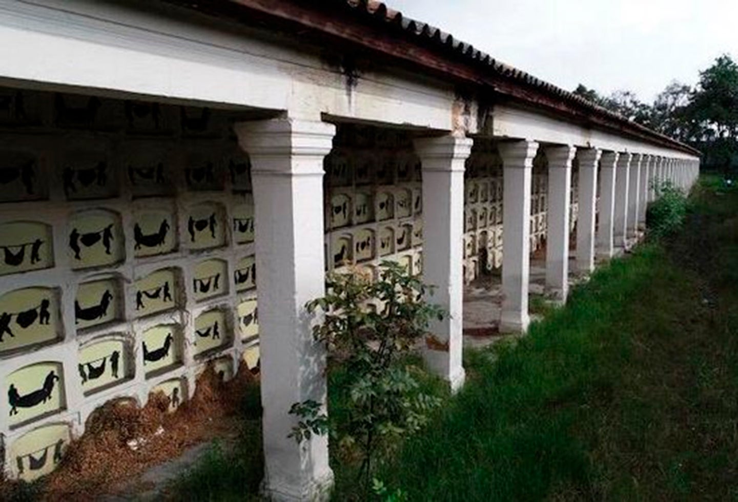 Los dibujos de la artista Beatriz González en inmediaciones del Cementerio Central, en Bogotá