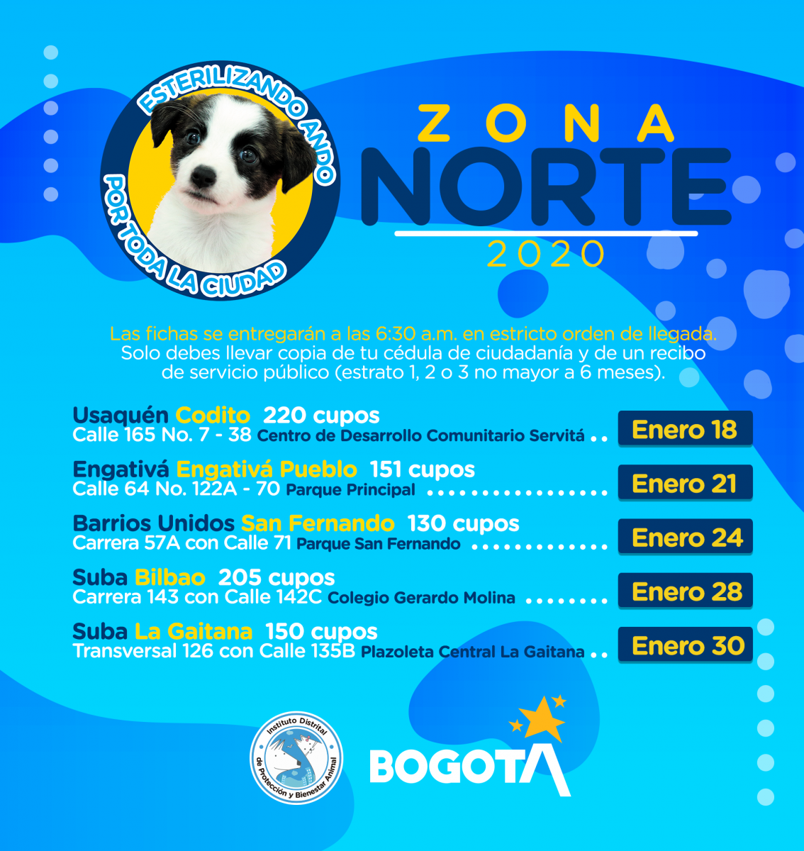 Esterilización Animal Enero