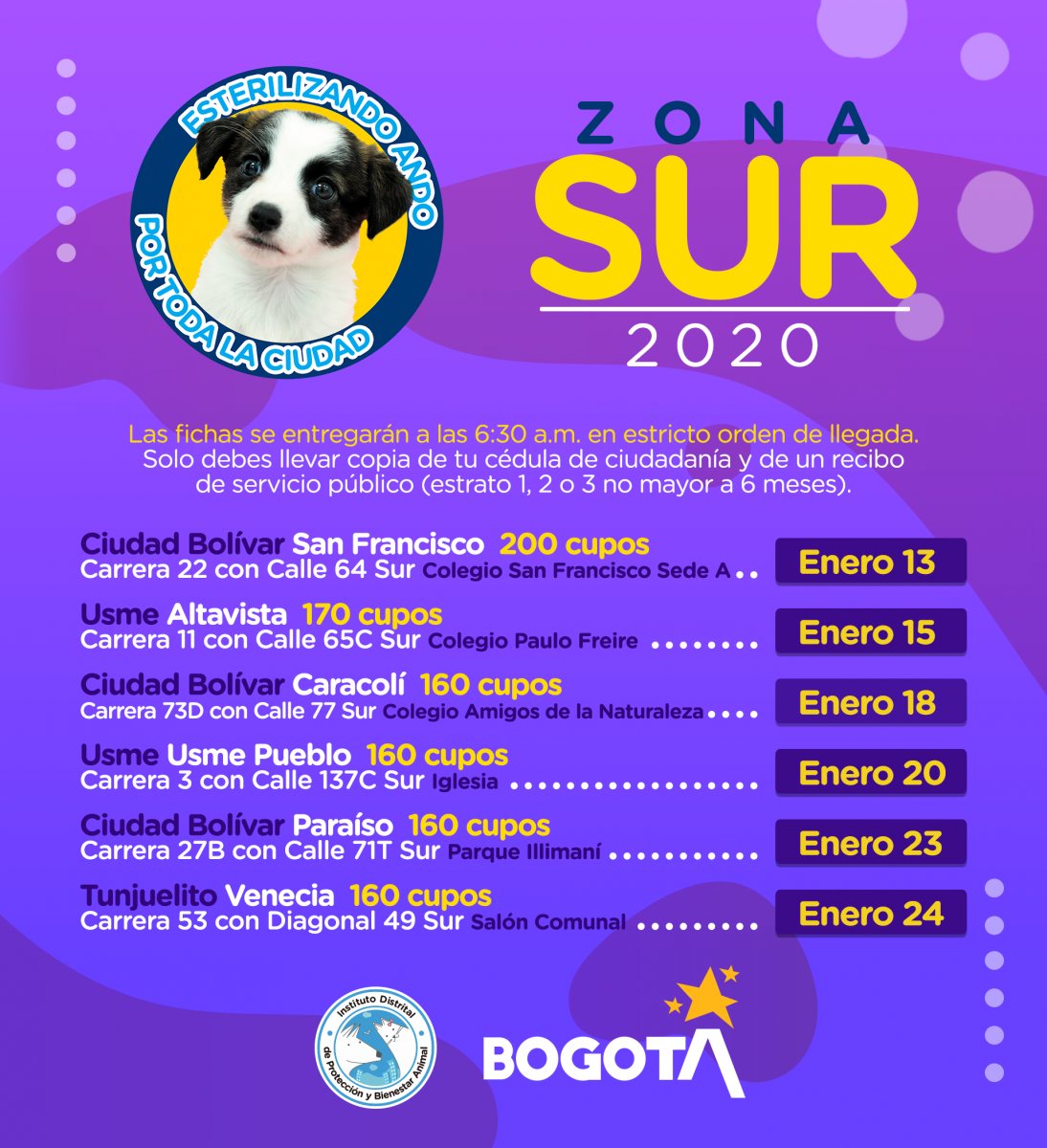 Esterilización Animal Enero