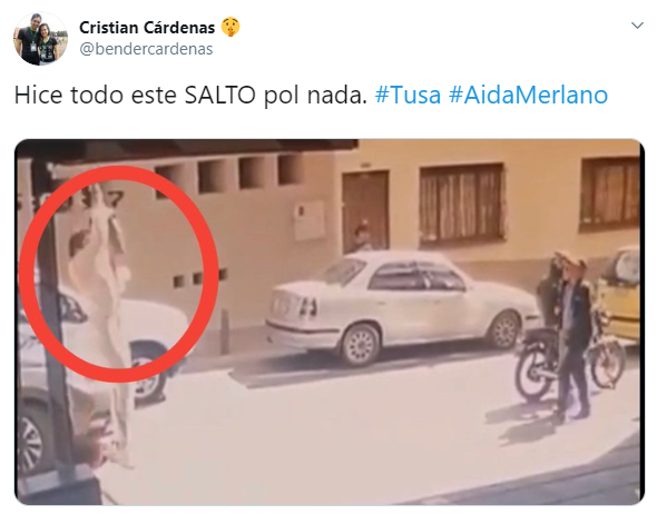 Memes de la captura de Aida Merlano