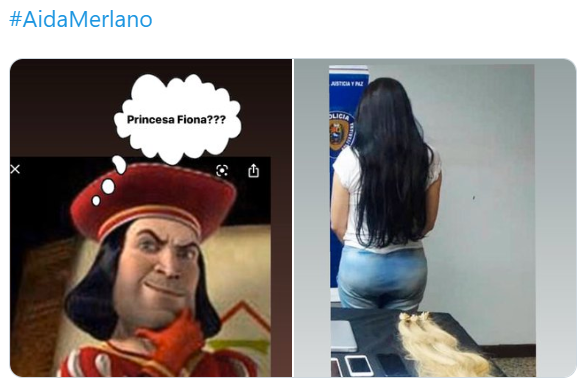 Memes de la captura de Aida Merlano