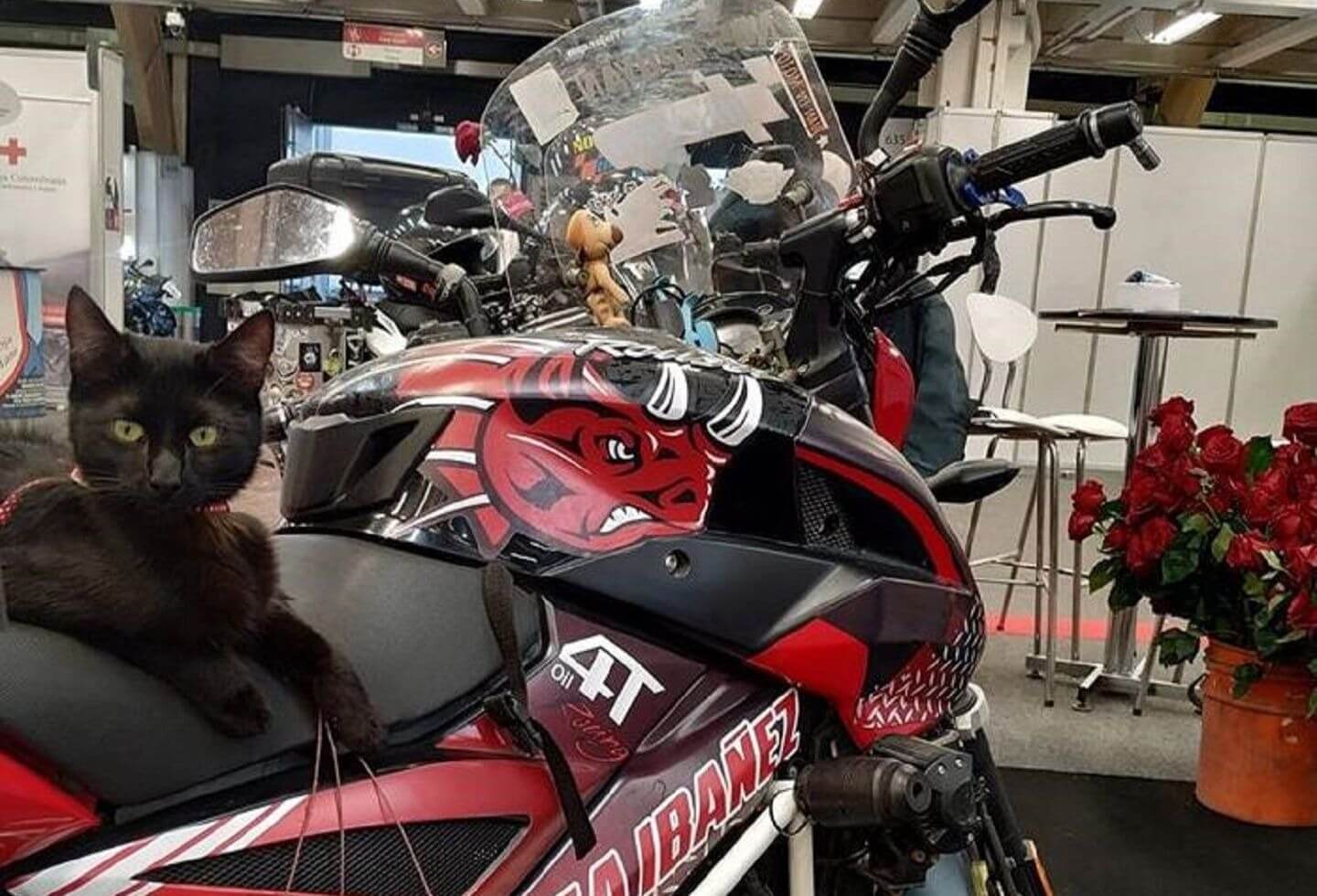 Moto robada en Bogotá