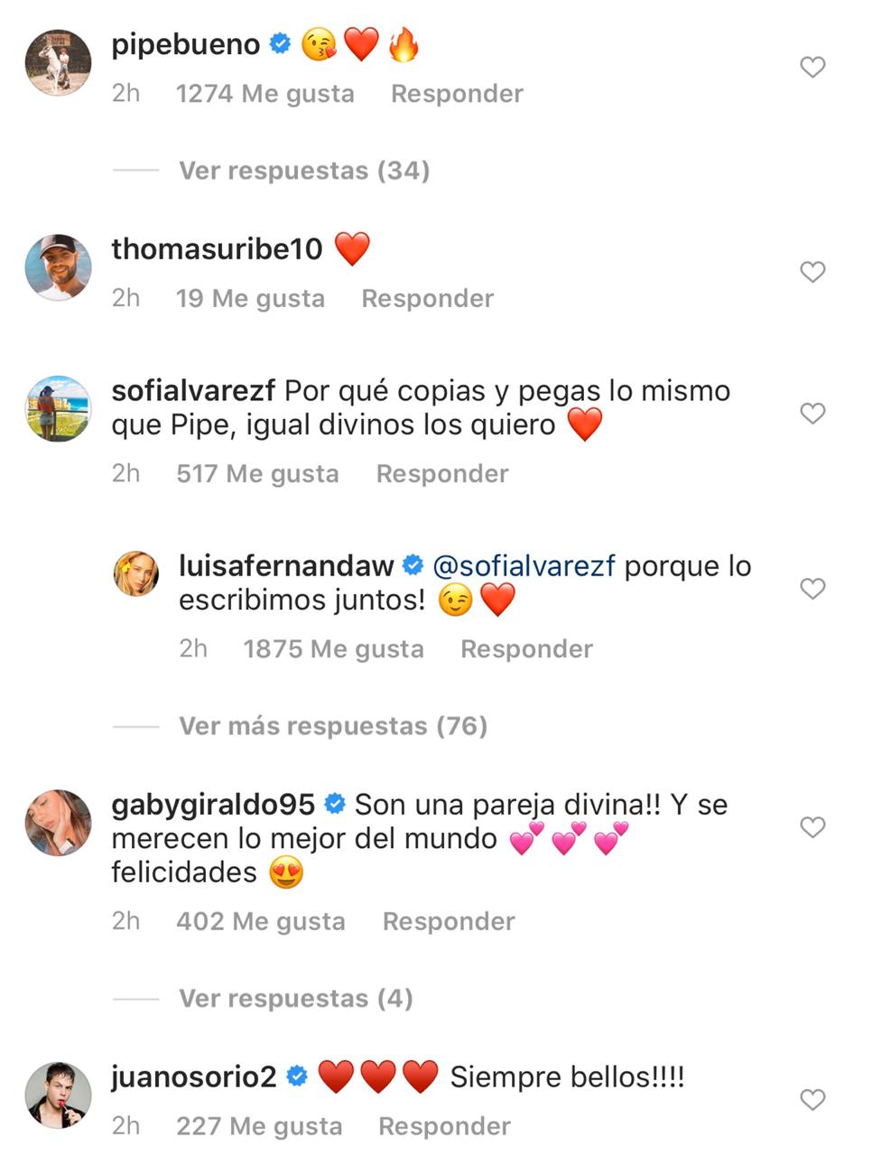 Captura Instagram - Luisa Fernanda