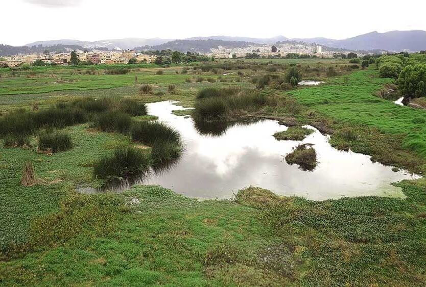 Humedal Juan Amarillo