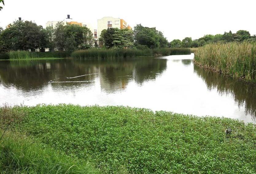 Humedal Santa María del Lago