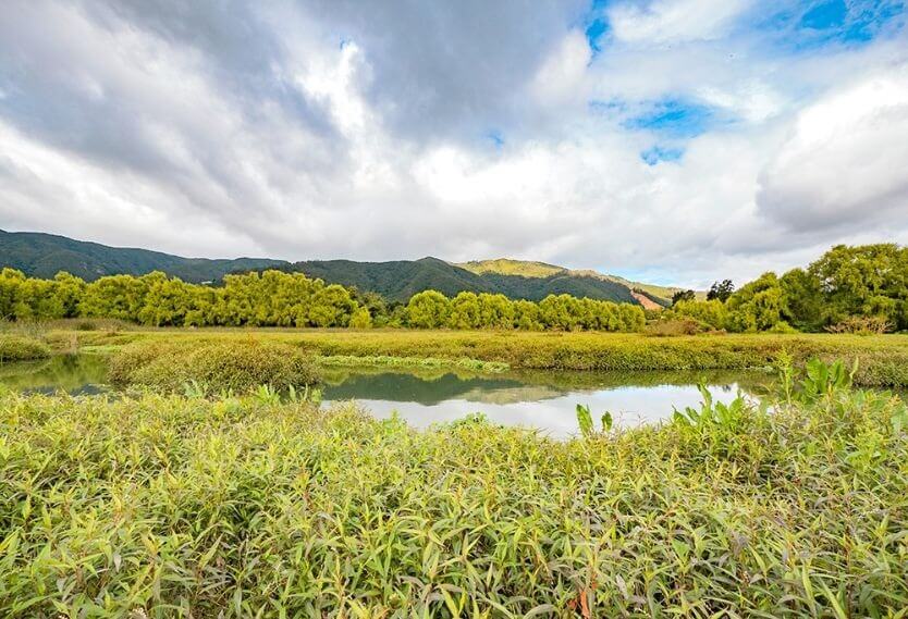 Humedal Torca y Guaymaral