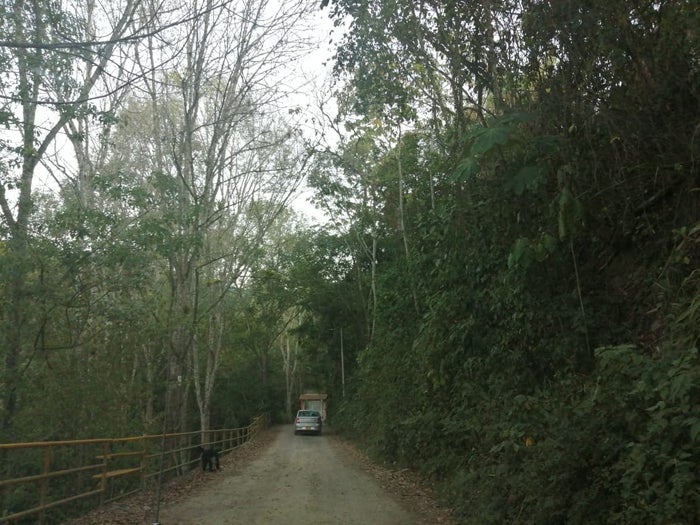 Vía hacia veredas de Silvania, Cundinamarca