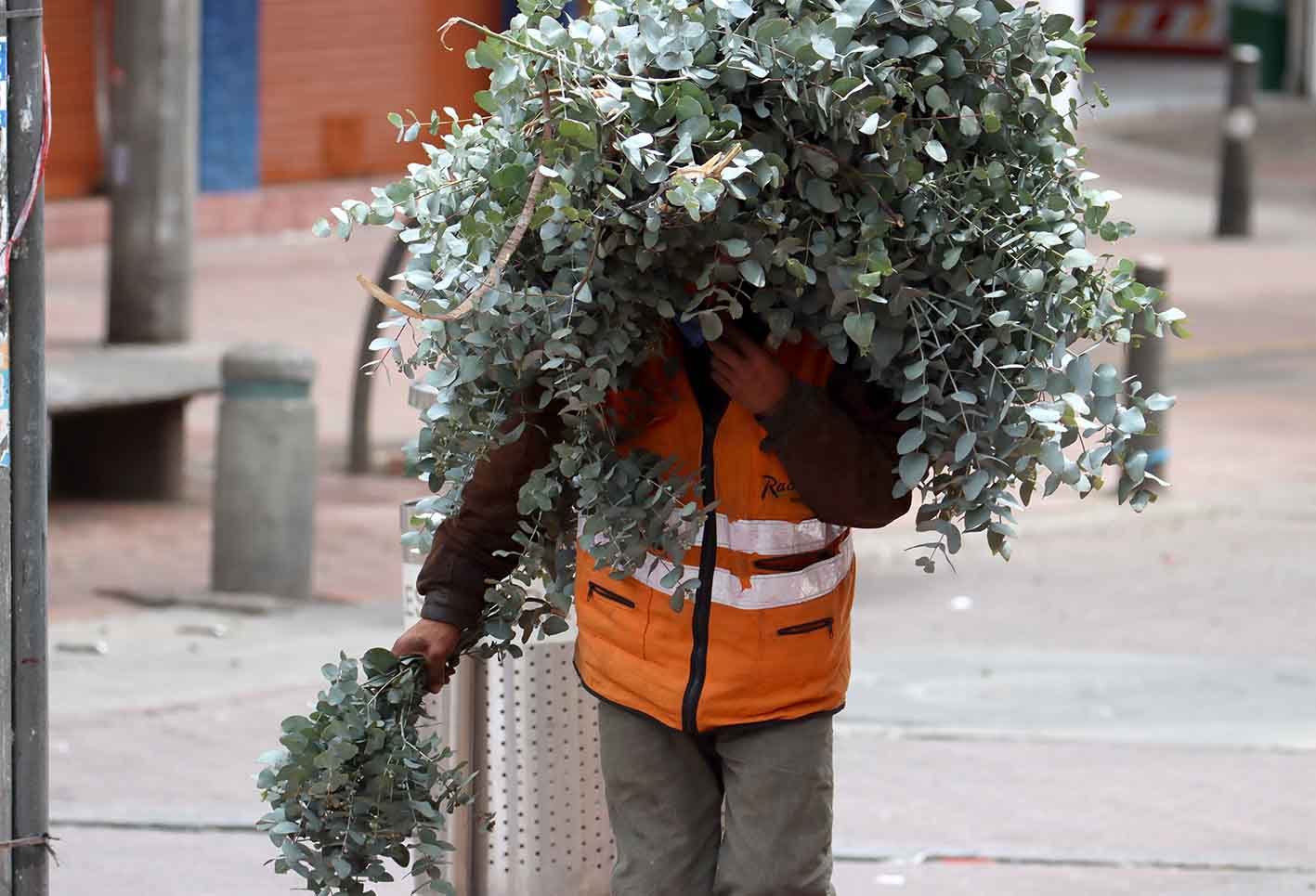 Iglesias-Domingo de Ramos en Bogotá durante cuarentena