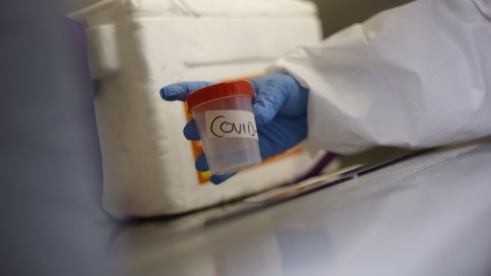 Referencia muestras COVID-19.