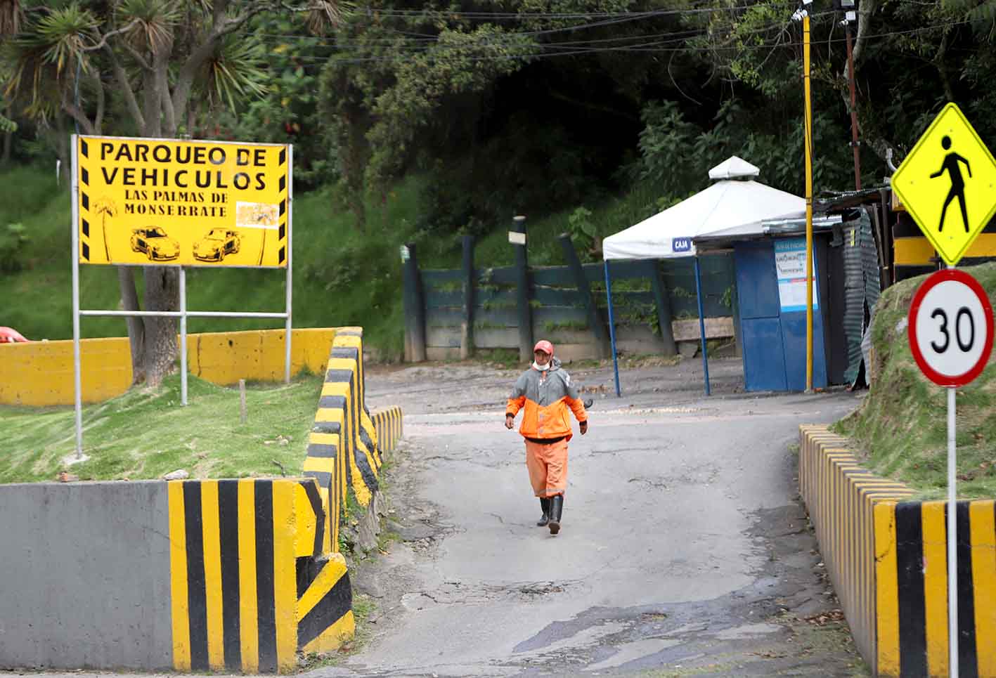 Iglesias-Domingo de Ramos en Bogotá durante cuarentena