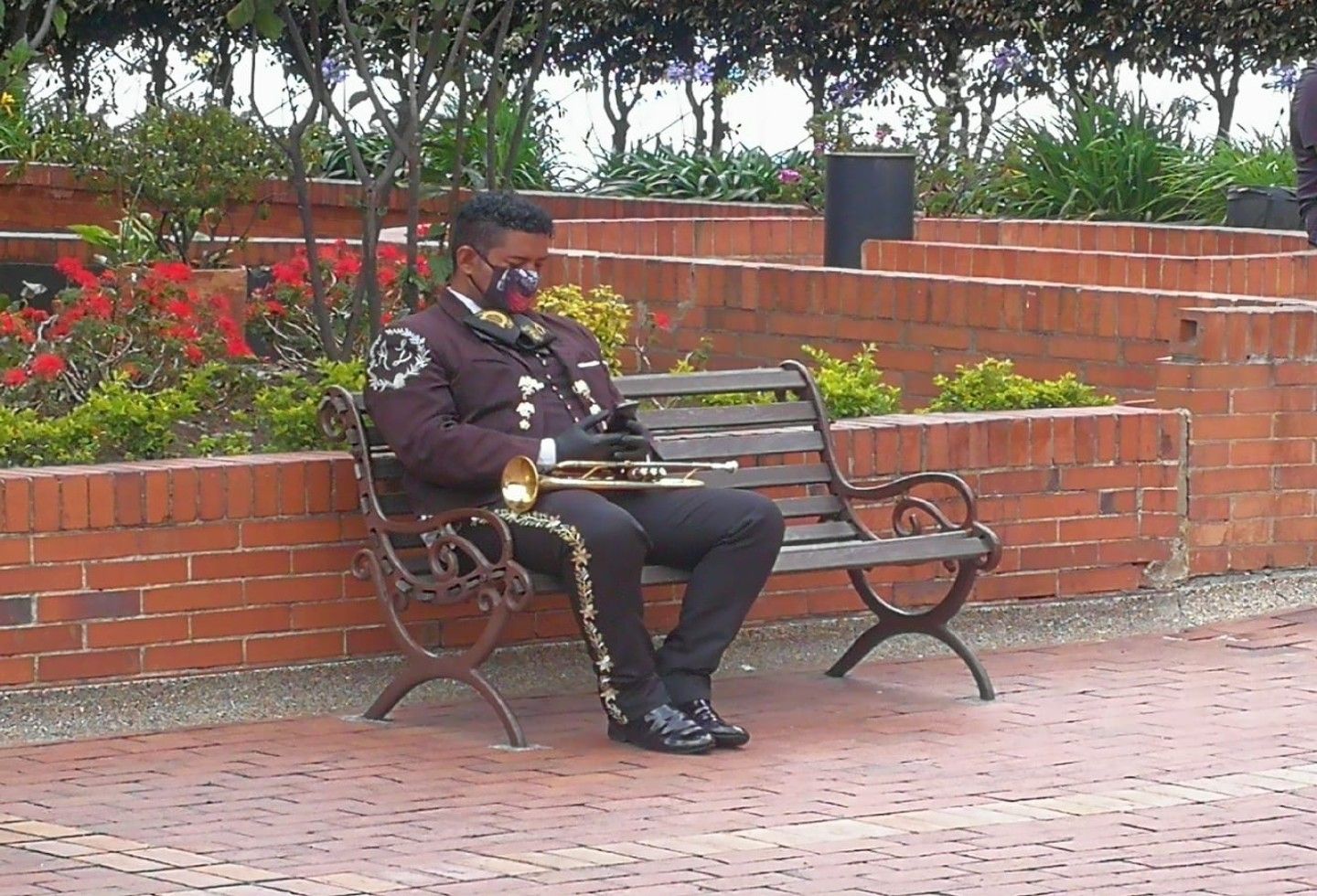 Ladrón robó violín a mariachi