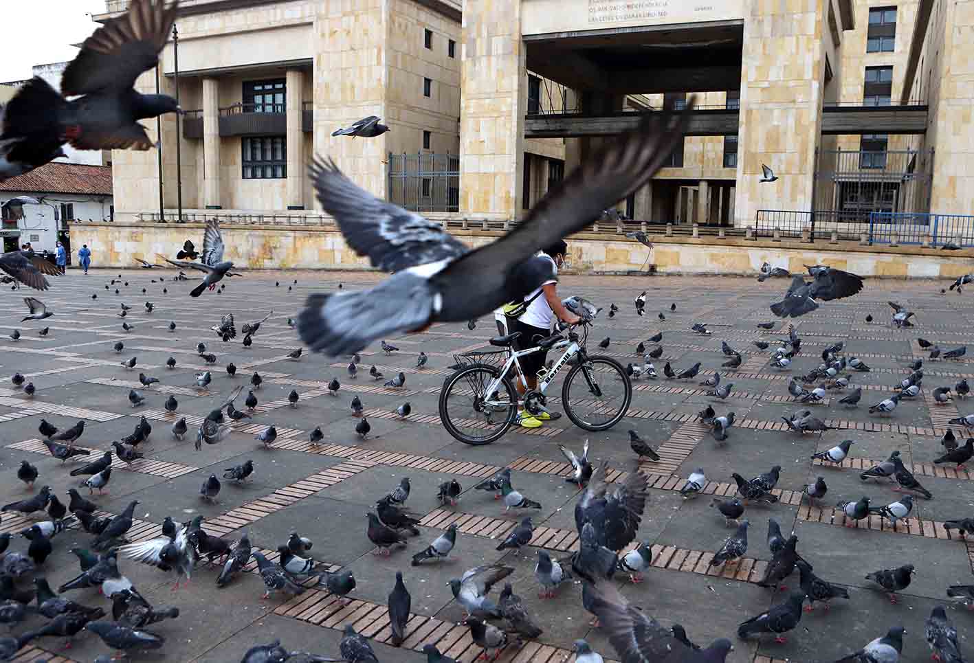 Palomas en la Plaza de Bolívar