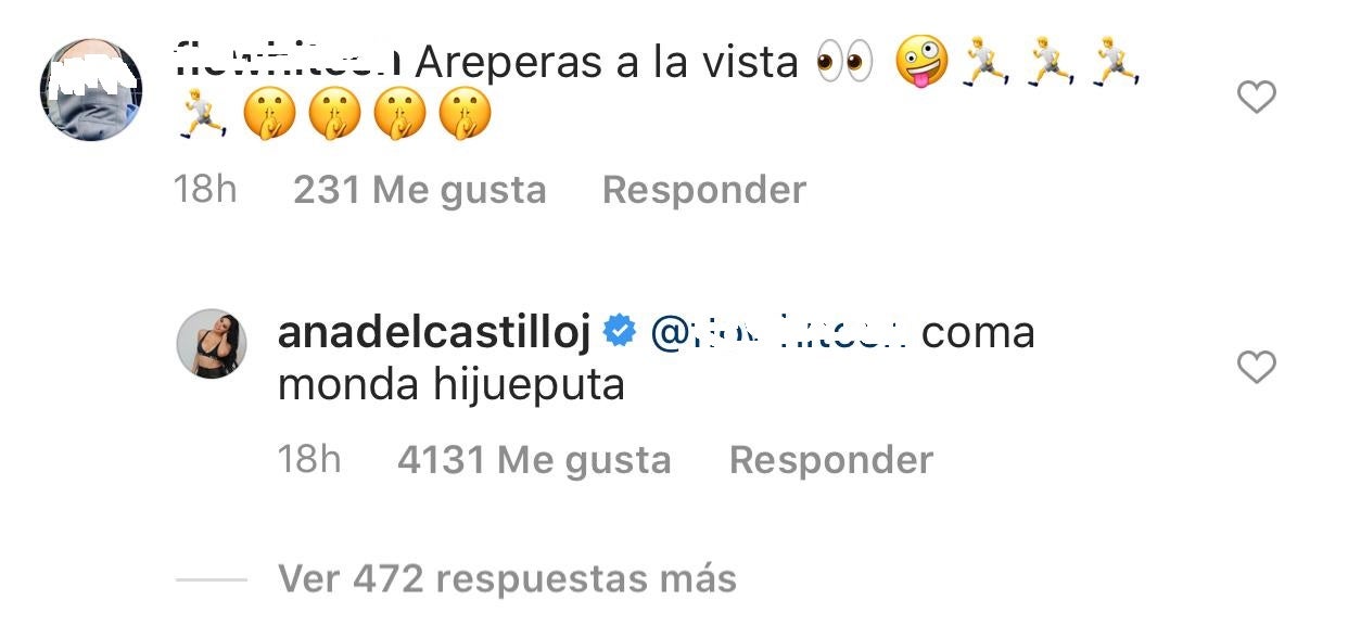 Captura del Instagram de Ana del Castillo
