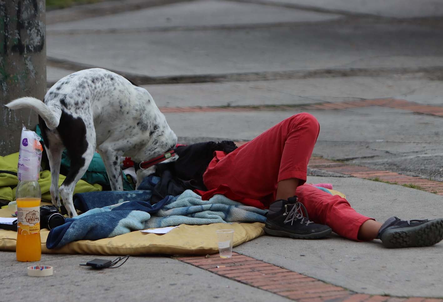 Toma de estudiantes de Universidad Nacional / Protestas de estudiantes por matriculas