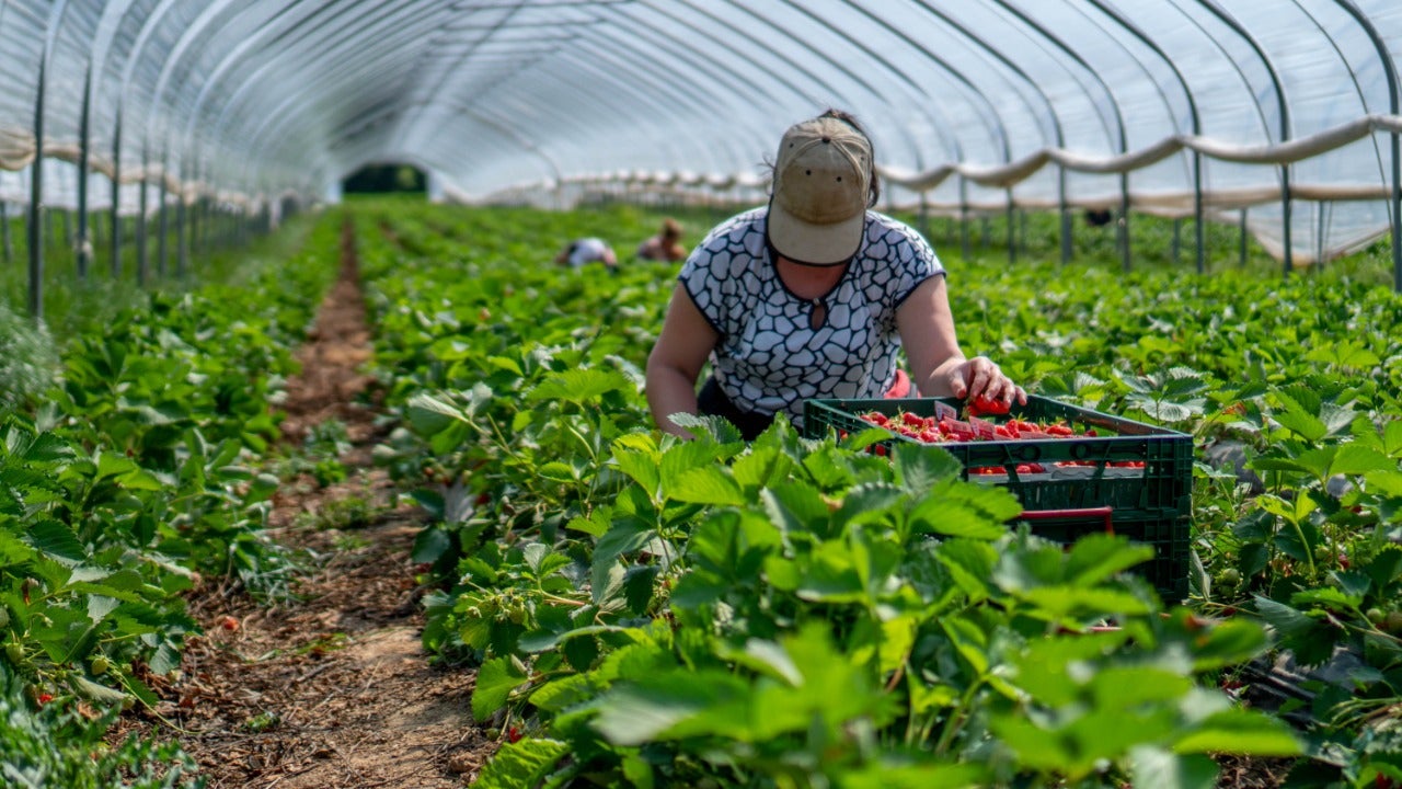 En 2019 se atendieron 331.871 productores, de los cuales el 39% recibieron crédito en condiciones FINAGRO por primera vez.