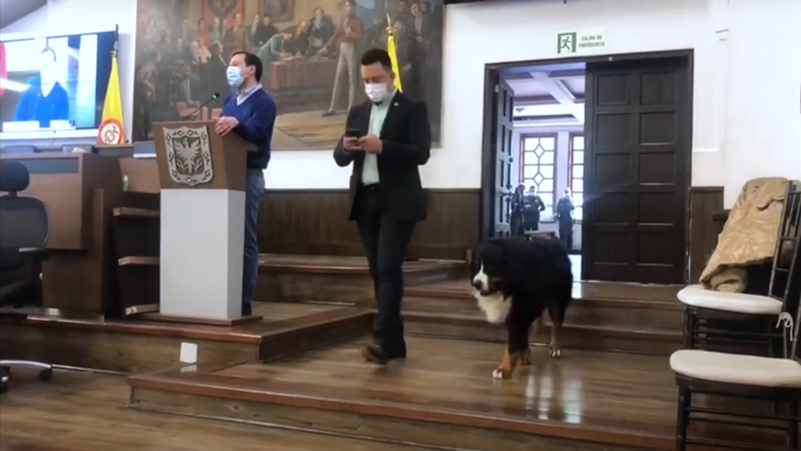 Perro en el Concejo de Bogotá