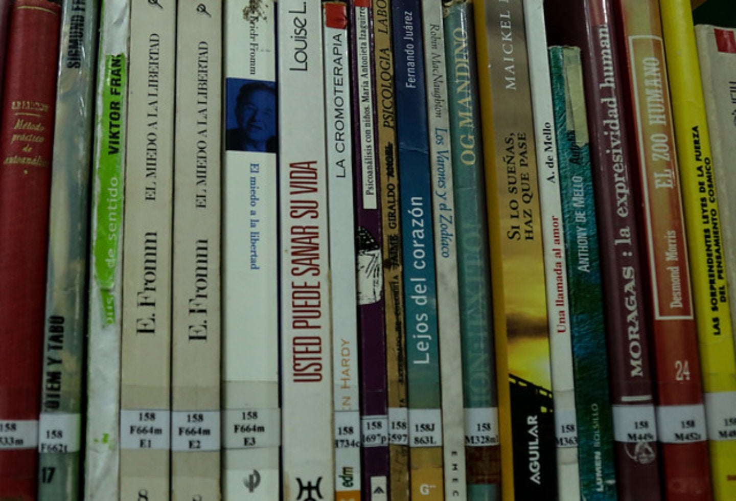 Bibliotecas públicas