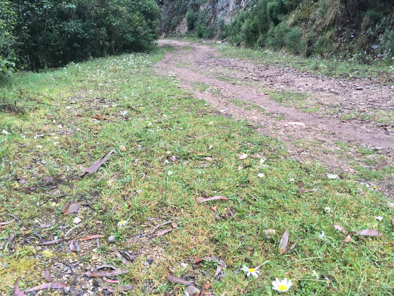 Quebrada La Vieja, Bogotá.